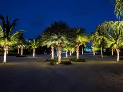 The Oasis — photo 5