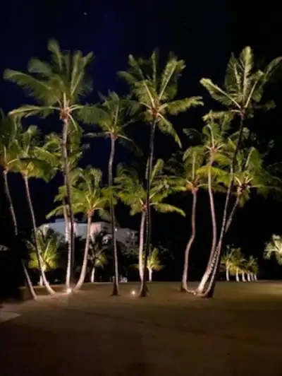 The Oasis — photo 9