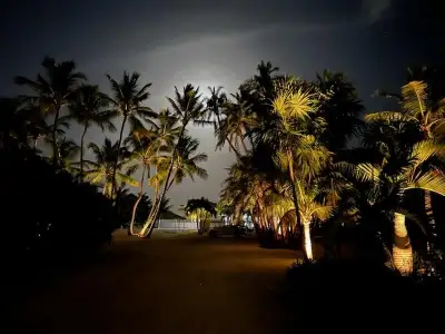 The Oasis — photo 10
